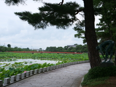 上越・高田　その5