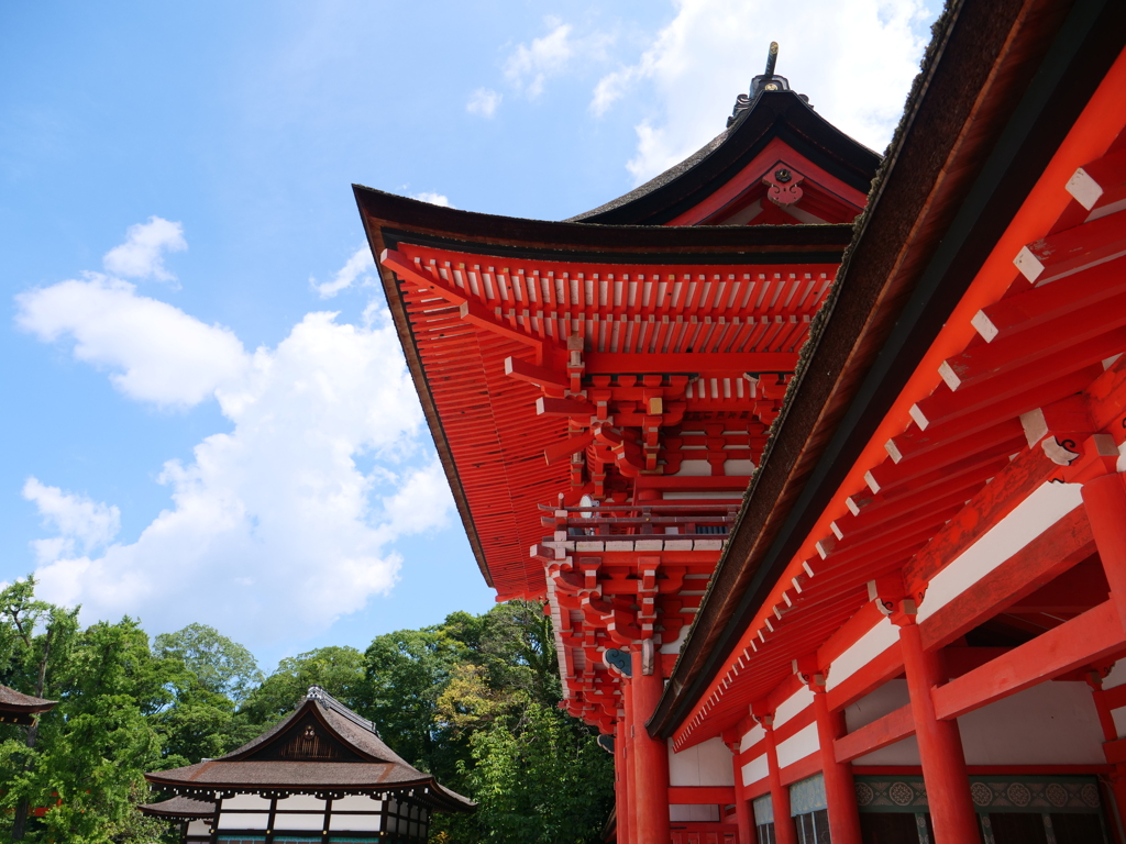 京都・下賀茂神社　その13