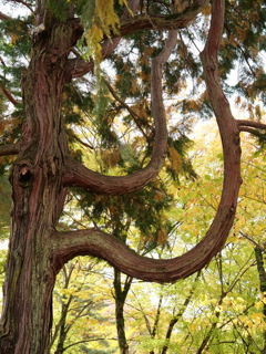 金沢・中央公園　その3