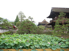 長野市・善光寺　その9