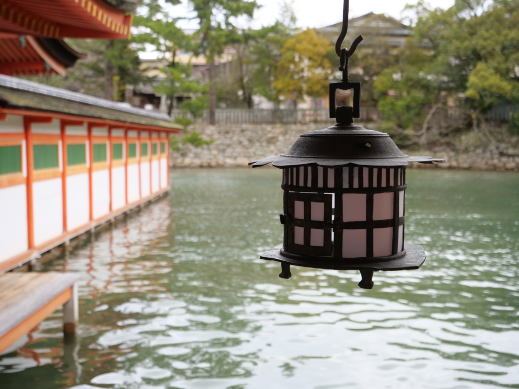 宮島　その24