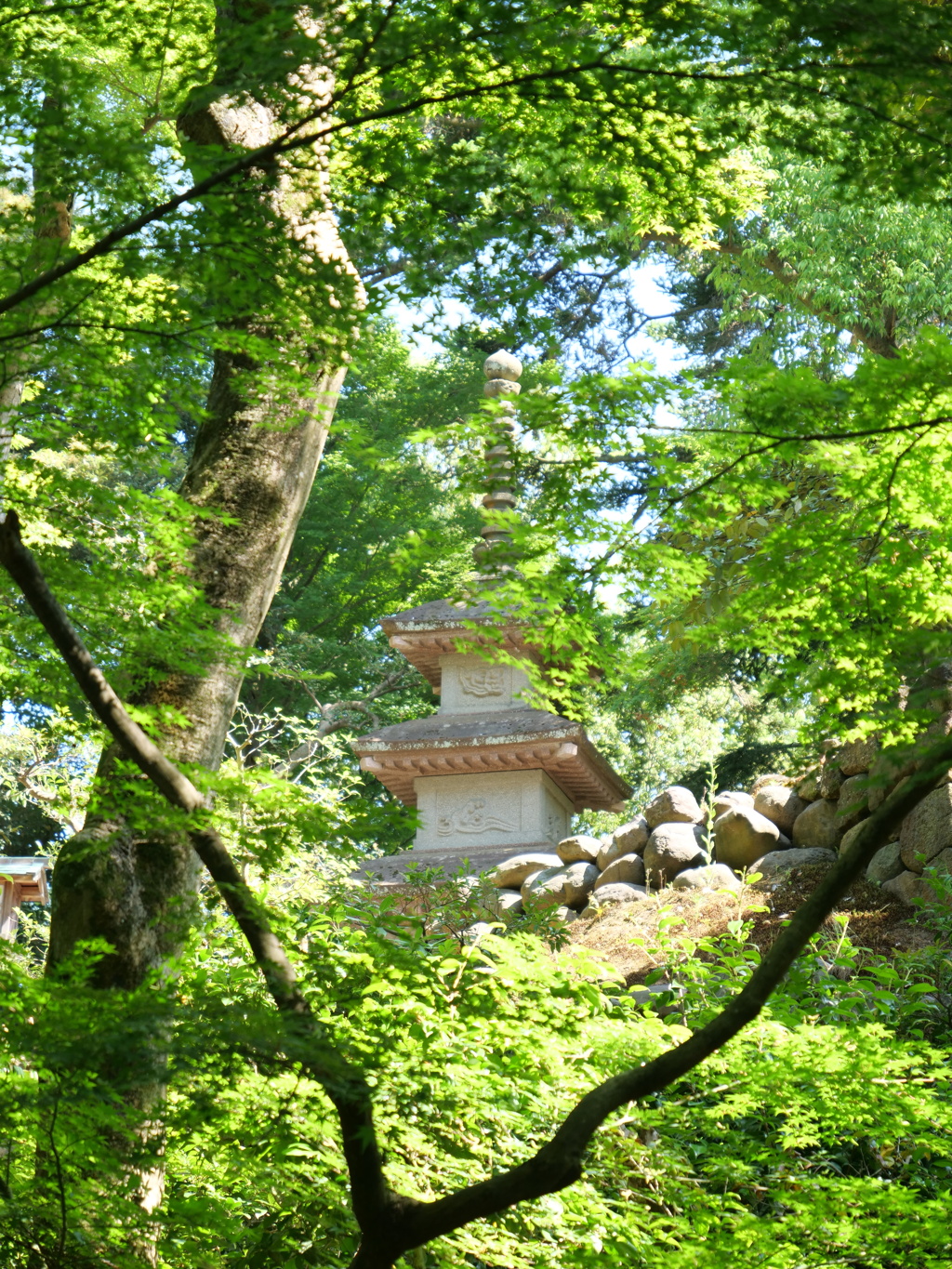 兼六園　その24