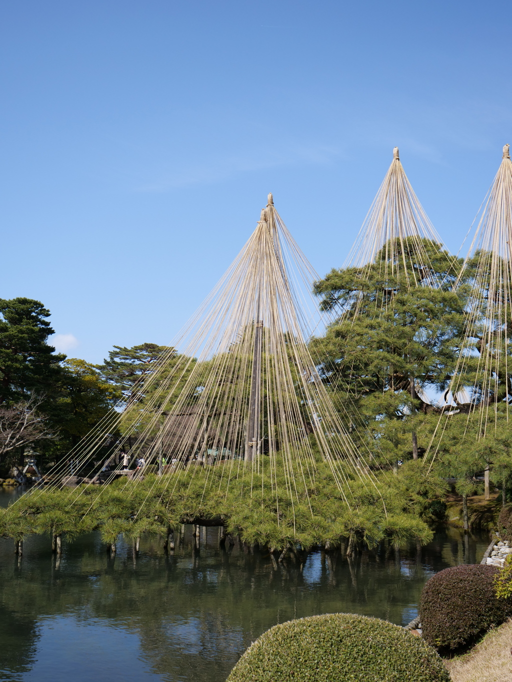 兼六園　その14