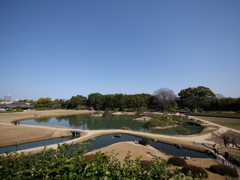 後楽園・岡山城　その2