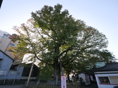 金沢・野町_にし茶屋街　その12