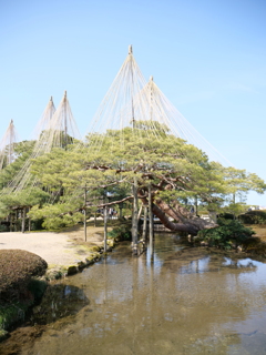 兼六園　その12