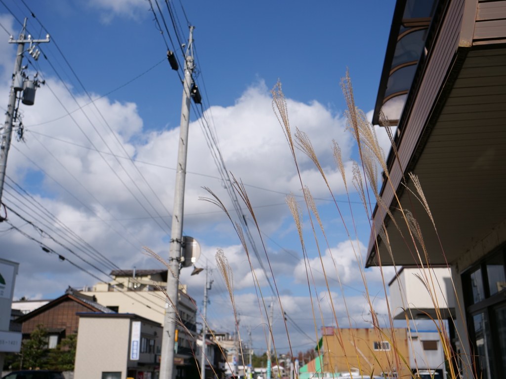 越中八尾　その2