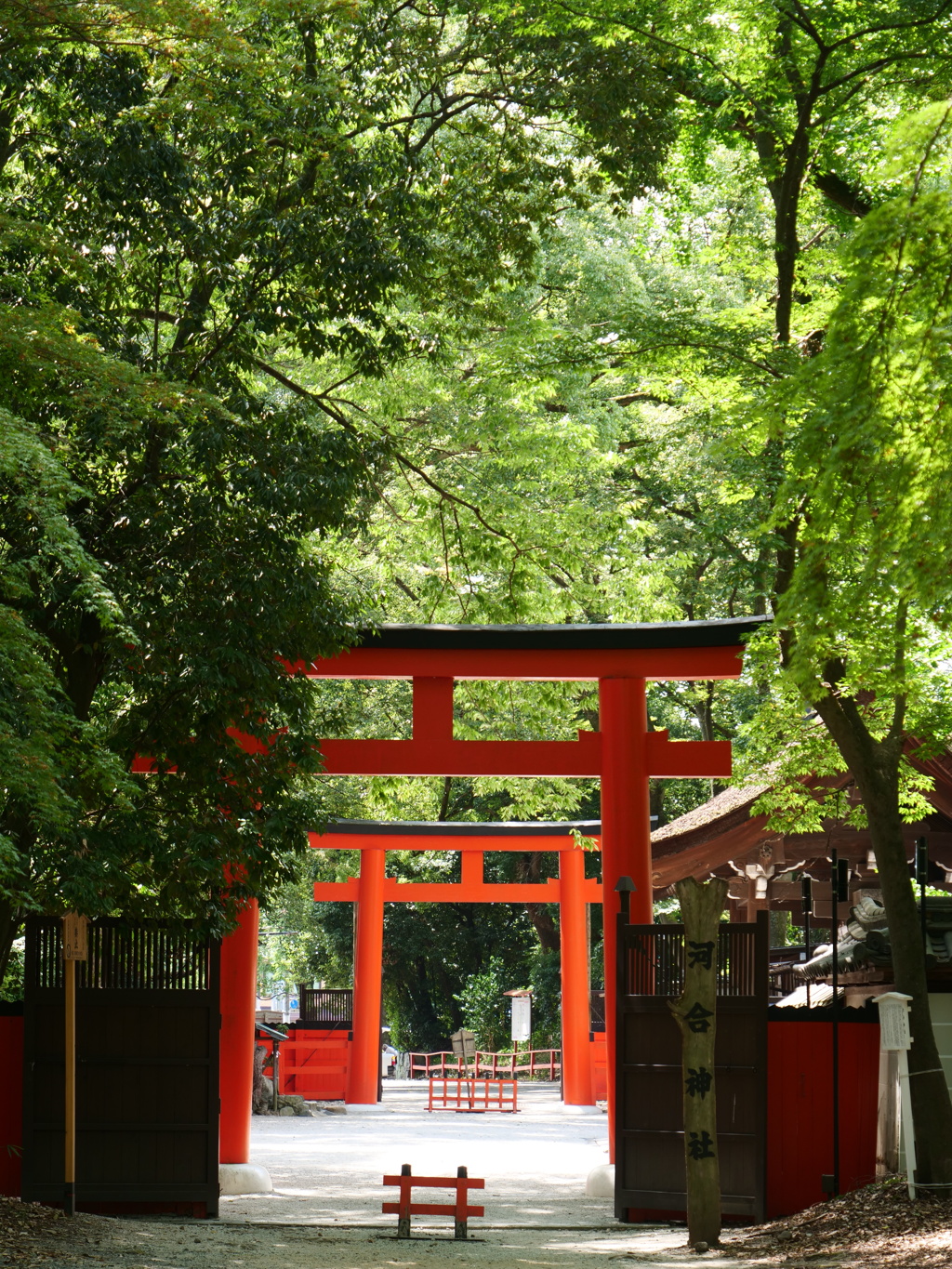 京都・下賀茂神社　その24