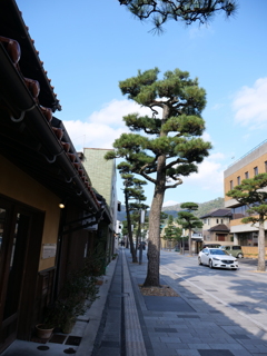 出雲大社　その17