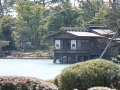 兼六園　その10