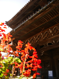 城端別院善徳寺　その2