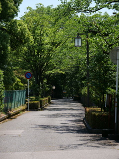 金沢・石引-本多町　その9