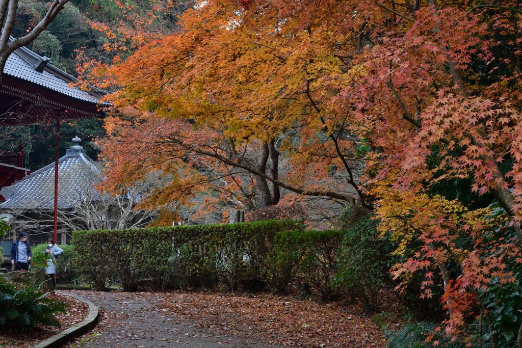 龍福寺