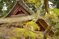 飯高寺