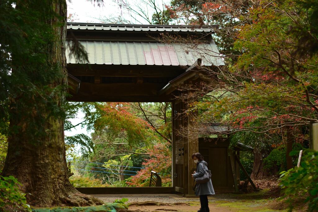 飯高寺