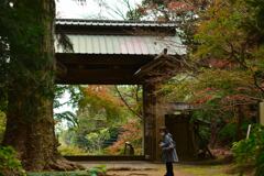 飯高寺