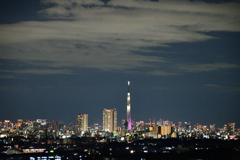 年末のスカイツリー