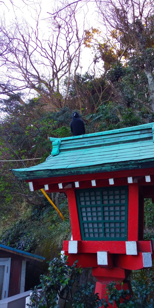 とある風景（國岡徹ダンスインストラクター）