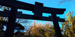 とある風景（ダンスインストラクター國岡徹）