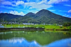 二上山　千股池
