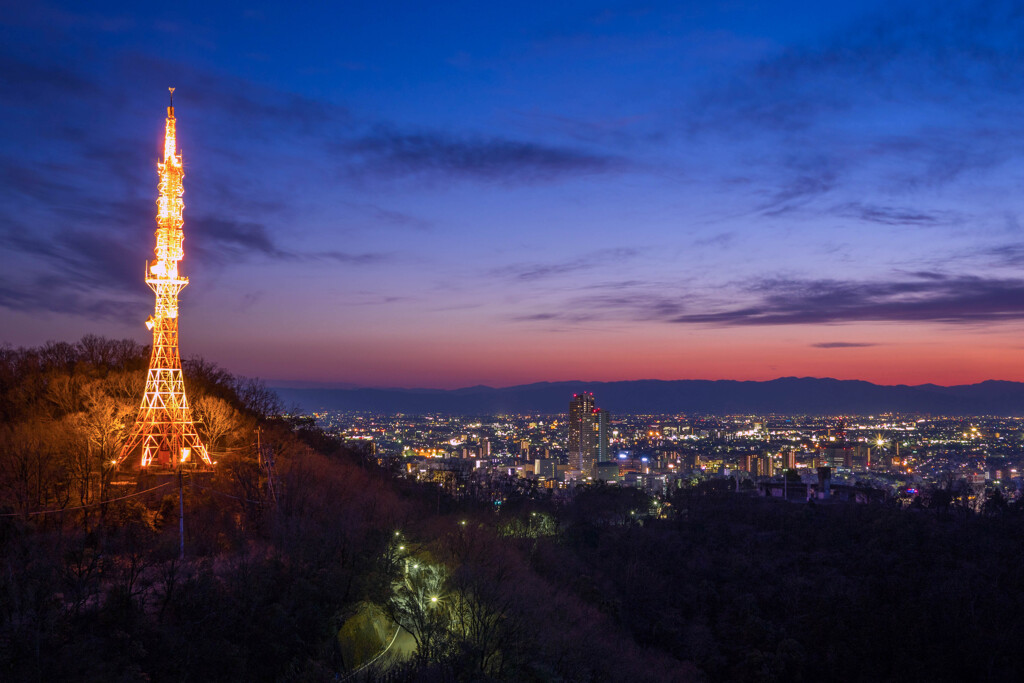 金華山の夜景