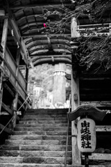 鞍馬山・由岐神社　建造物 神社  モノクロ