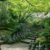 緑に囲まれて