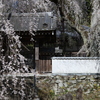 春望１