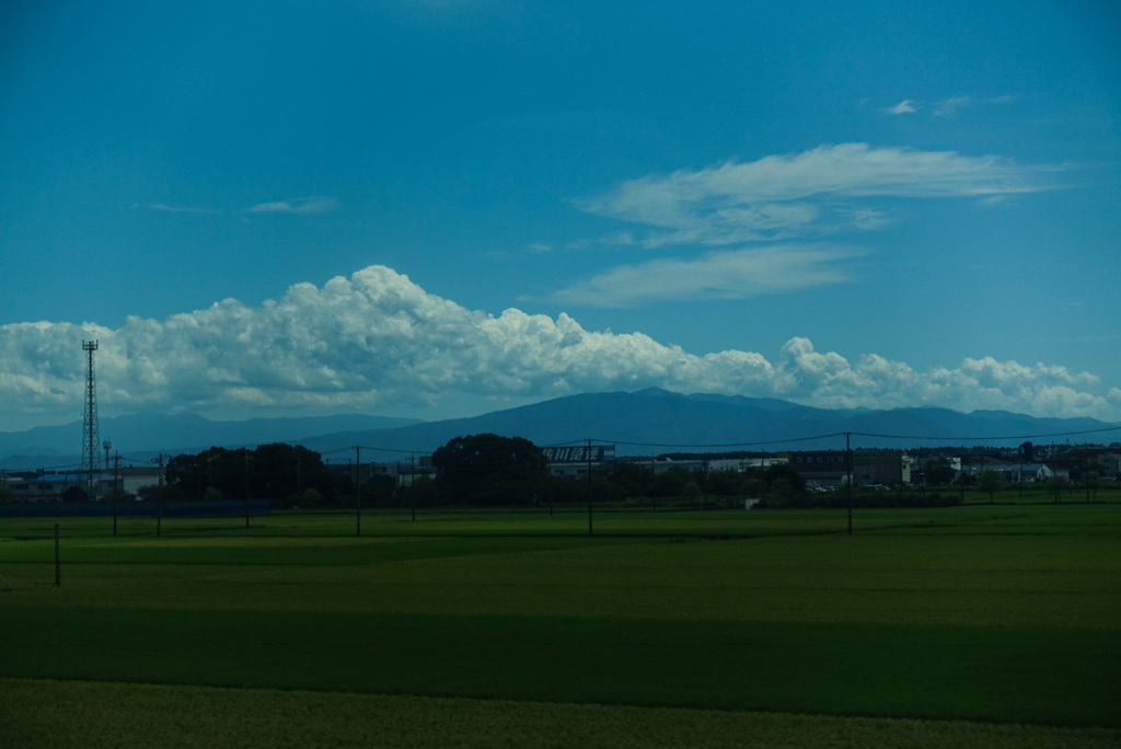 惜しむ夏