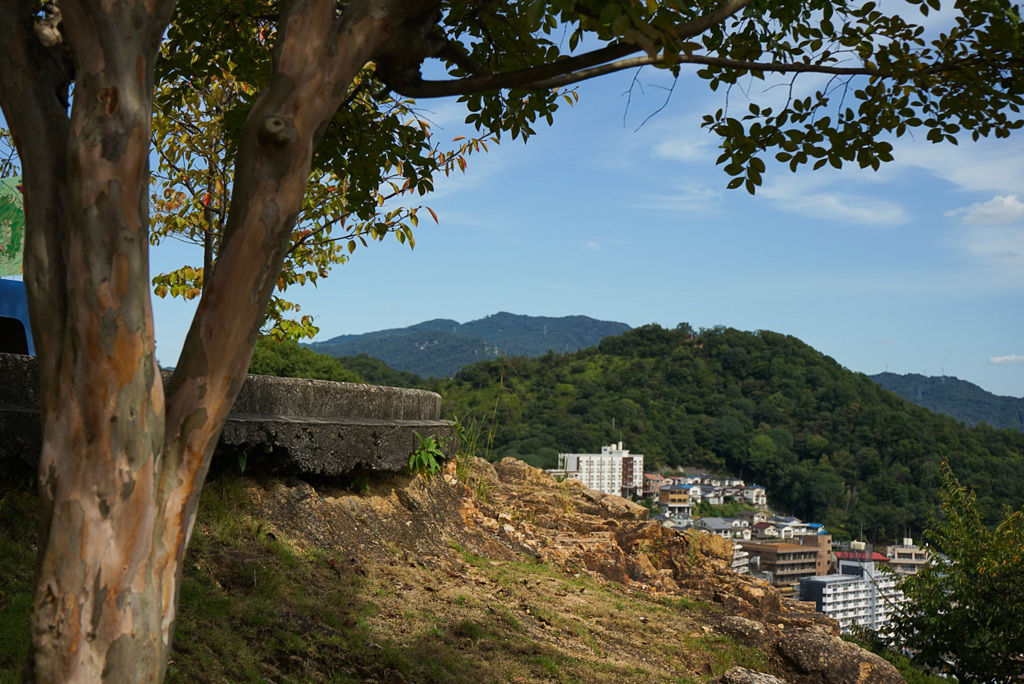 木々と秋空