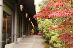 京都はどこでも風情がある 〜嵐山2〜