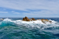 浦富海岸