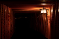 夜の伏見稲荷