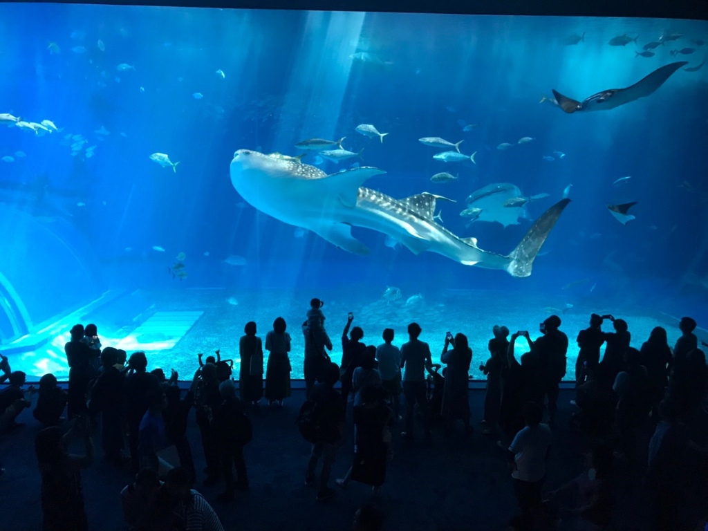 水族館