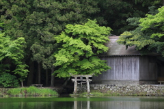由布院　金鱗湖