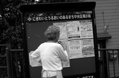 佃島の朝