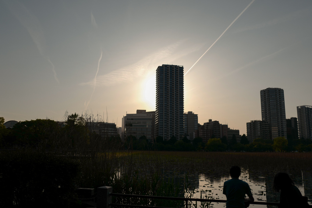 平和