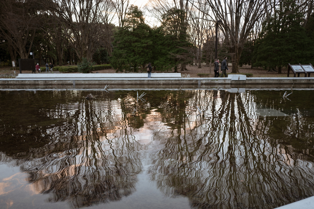 冬の公園