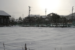 雪を見る会・天気雪