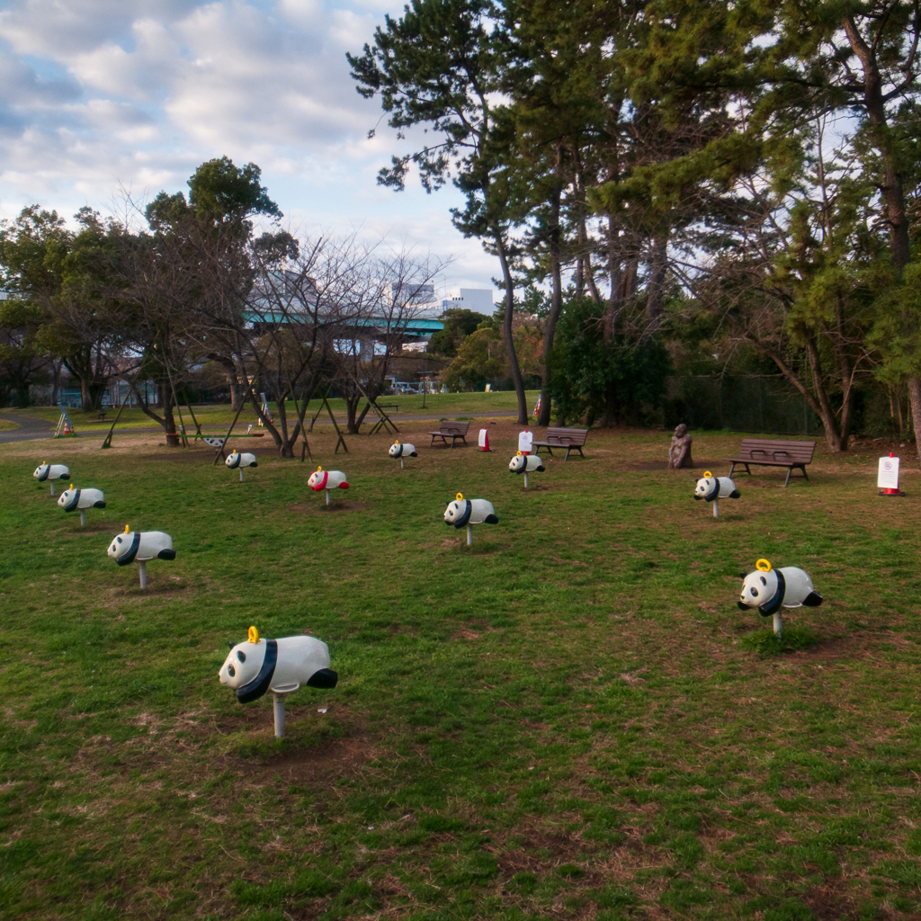 panda farm