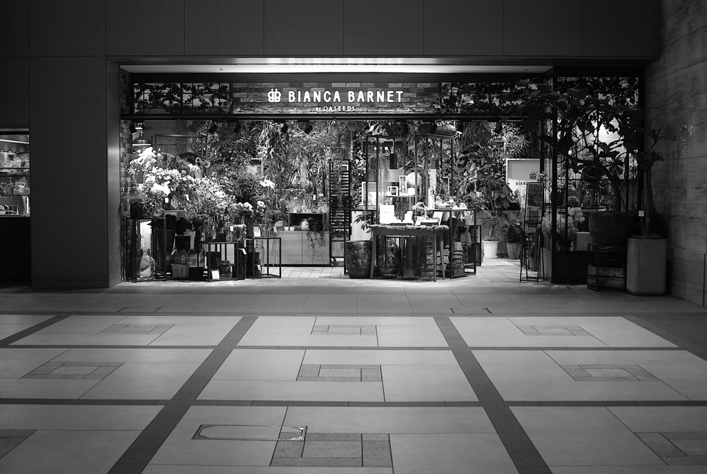 Flower shop