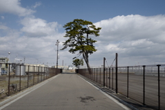 仙台市宮城野区