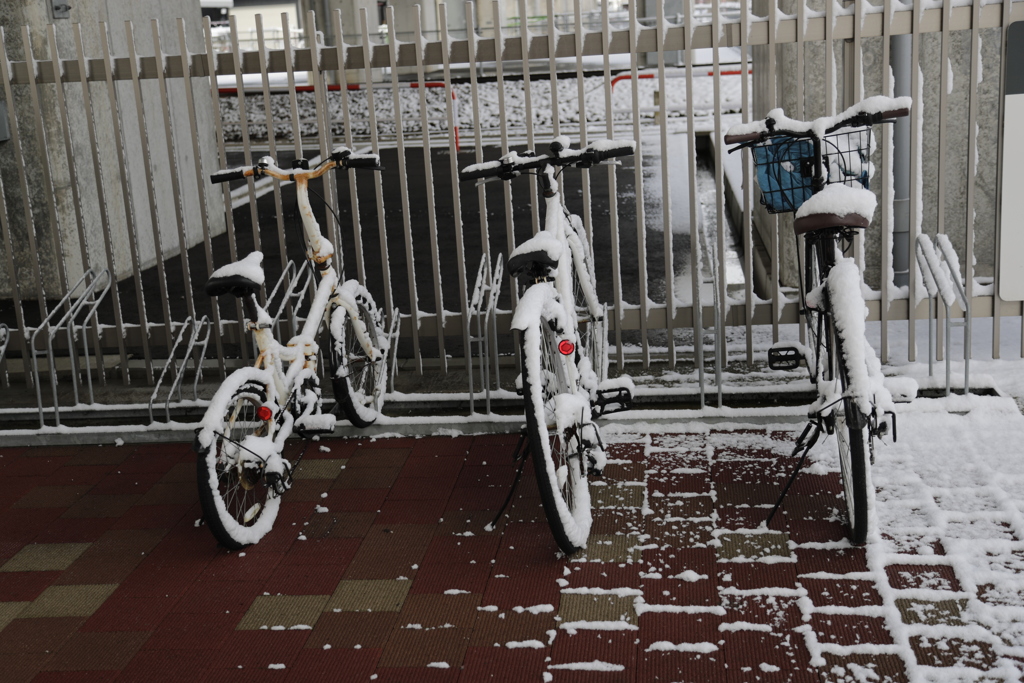 雪を見る会・自転車置き場