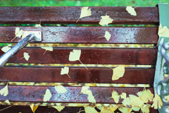 on the bench