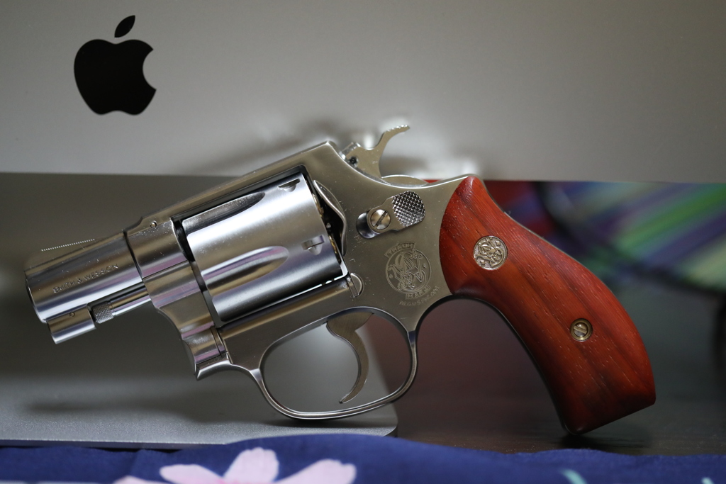 TOY GUN