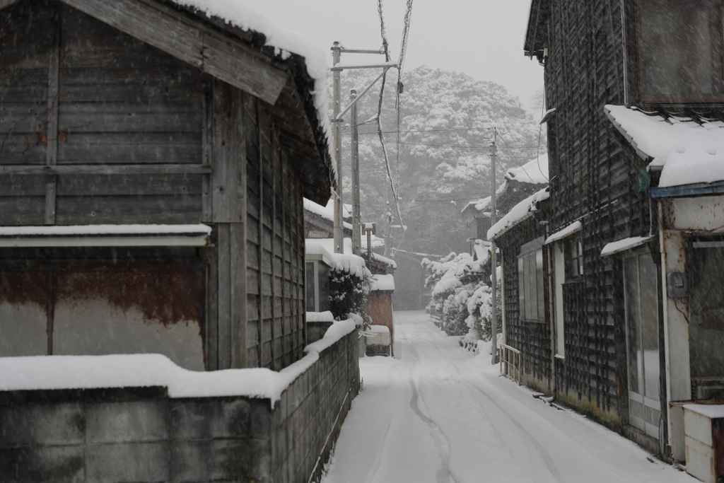 雪を見る会・生活道路２