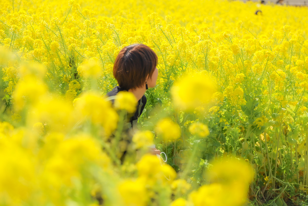 花とともに。そのニ