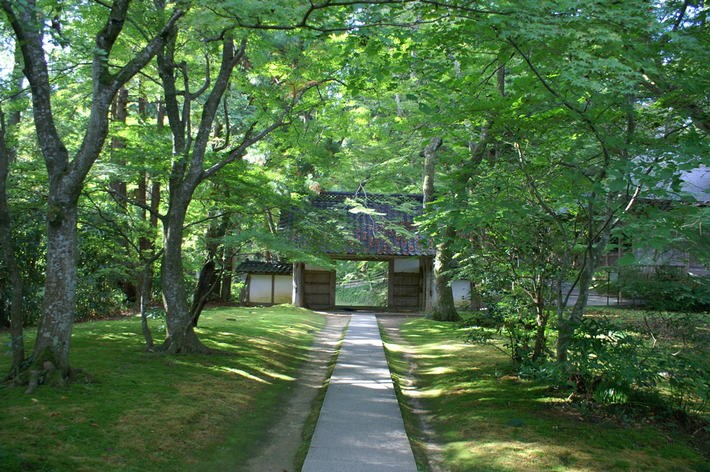 中尊寺にて