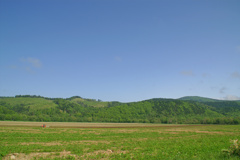 北海道　赤いトラクター