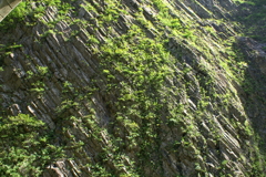 新潟の旅　清津峡渓谷